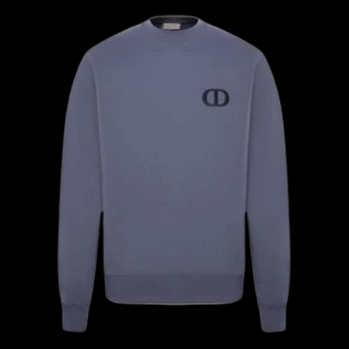 DIOR FW21 Alphabet Printing Pattern Round Neck Long Sleeves Purple Blue