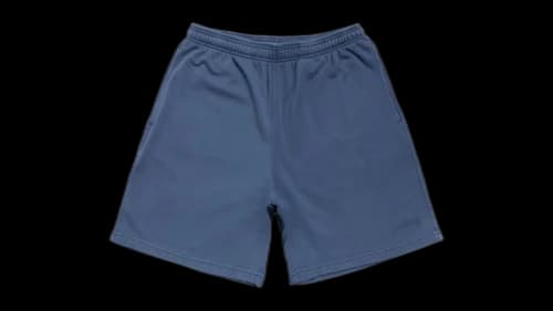Stussy Lightweight Terry Short Blue