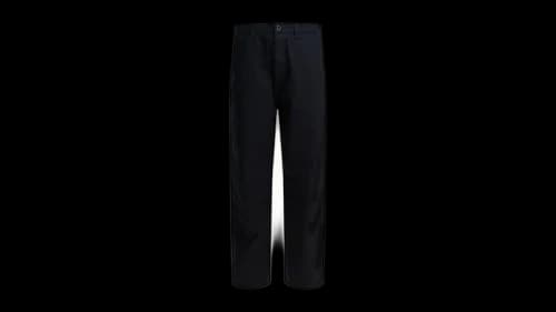Stussy Carpenter Canvas Pants Black