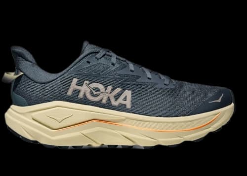 Hoka One One Challenger 8 Faded Navy Pampass Grass