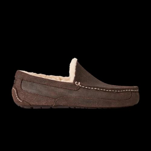 UGG Ascot Slipper 'Dusted Cocoa'