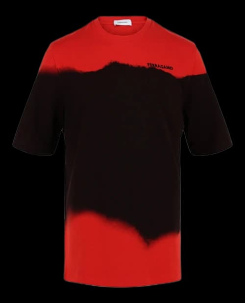 Ferragamo Printed Crewneck Short Sleeve T-shirt Multi