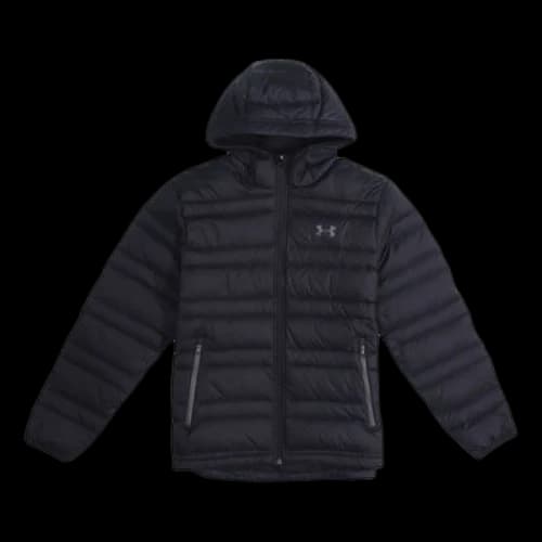 Under Armour Down Hooded Winter Jacket 'Black'