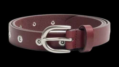 Stussy Rivet Stud Belt Oxblood