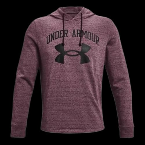 Under Armour Rival Terry Logo Hoodie 'Grape Purple'