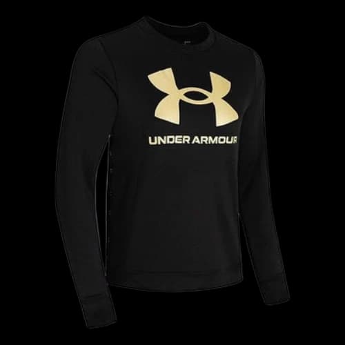 Under Armour Metallic Round-neck Swea Black (Women's)