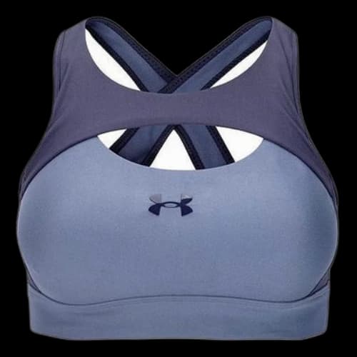 Under Armour Mid Crossback Harness Sports Bra 'Purple' (Women's)