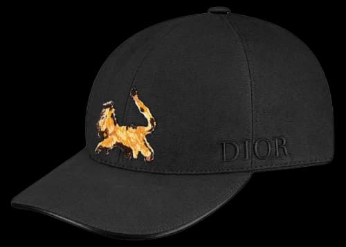 Dior x Peter Doig Baseball Cap Black