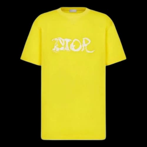 DIOR x PETER DOIG Crossover FW21 Logo Embroidered Round Neck Short Sleeve Yellow T-Shirt