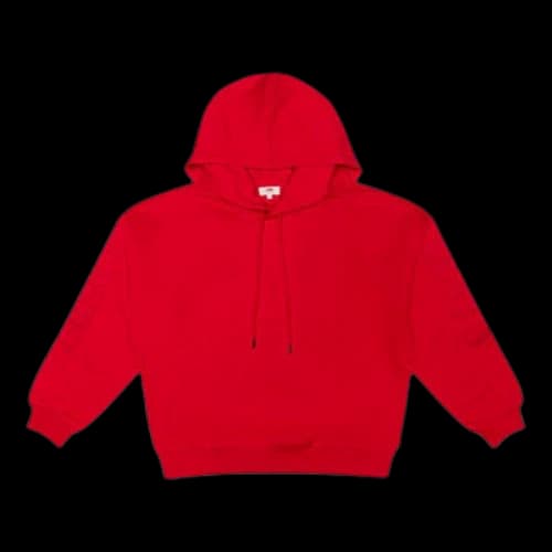 Levi's Logo Hoodie Red (Women's)