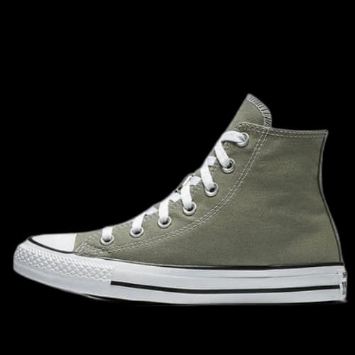 Converse Chuck Taylor All Star Seasonal Color High Top