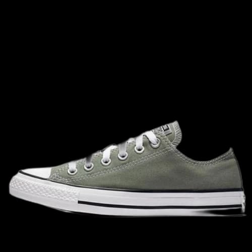 Converse Chuck Taylor All Star Seasonal Color Low Top 'Gray White'