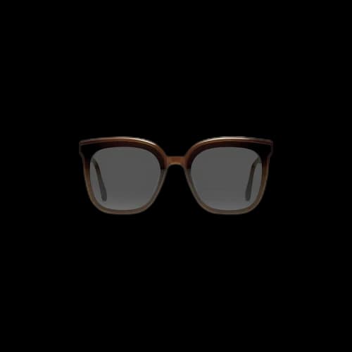 Gentle Monster x Moncler Swipe 4 Sunglasses 'Brown'