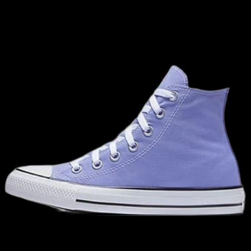 Converse Chuck Taylor All Star Seasonal High Top