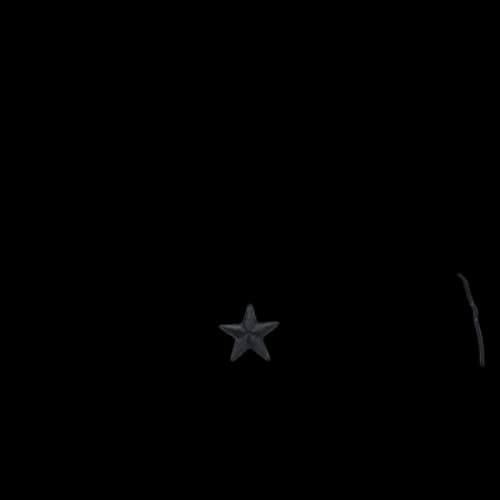 Converse Official One Star 'White Black'