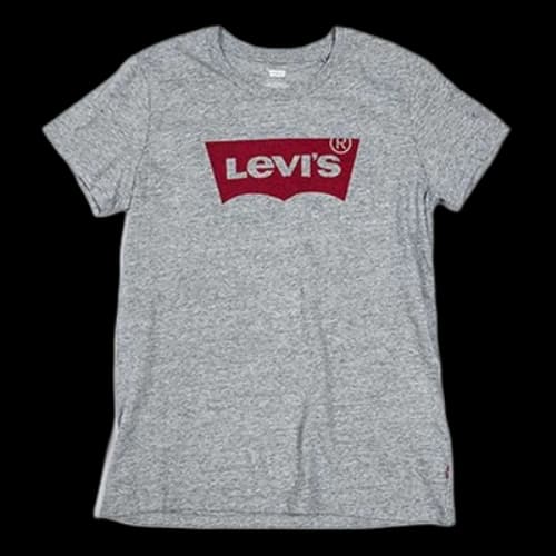 LEVI'S Levis Basic Red logo Short Sleeve Gray
