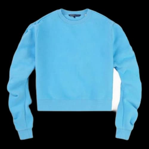 Levi's Solid Color Round Neck Fleece Lined Blue Hoodie (Women's)