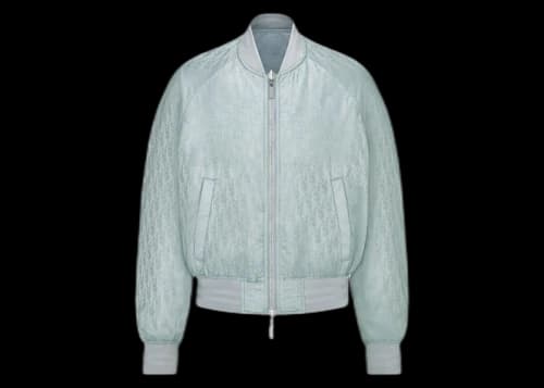 Dior x CACTUS JACK Dior Oblique Reversible Bomber Jacket Gray