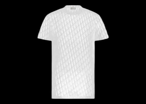 Dior Sheer Oblique T-Shirt White