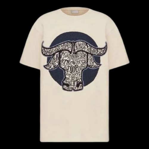 DIOR SS21 knitted oversized short-sleeved T-shirt men's beige