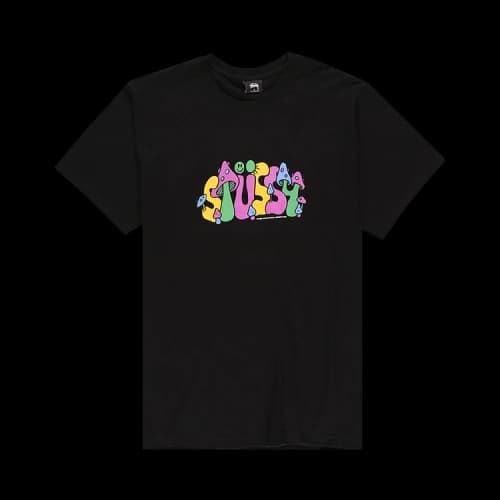 Stussy Colorado Tee 'Black'
