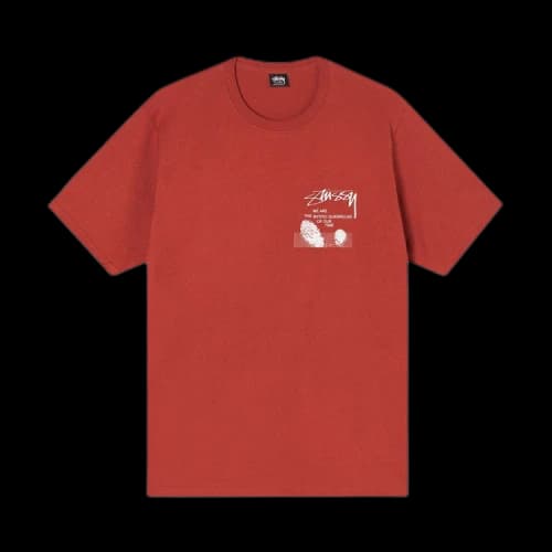 Stussy Desert Sky T-Shirt 'Brick'