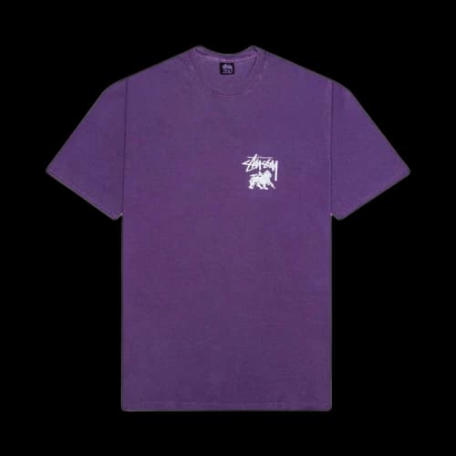 Stussy Rasta Dot Pigment Dyed Tee 'Purple'