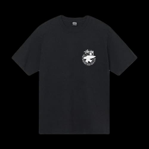 Stussy Beach Roots Pigment Dyed Tee 'Black'