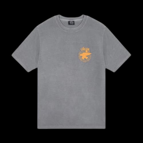 Stussy Beach Roots Pigment Dyed Tee 'Grey'