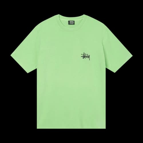 Stussy Skull Wings Pigment Dyed Tee Green