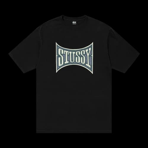 Stussy Champion Pigment Dyed Tee 'Black'