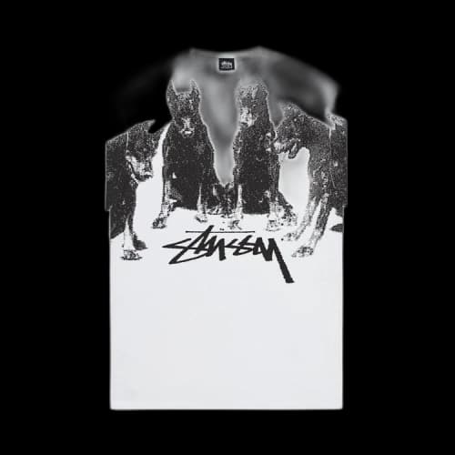 Stussy Dobermans Tee 'White'