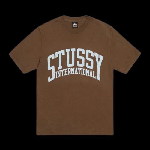 Stussy International Tee Pigment Dyed 'Brown'