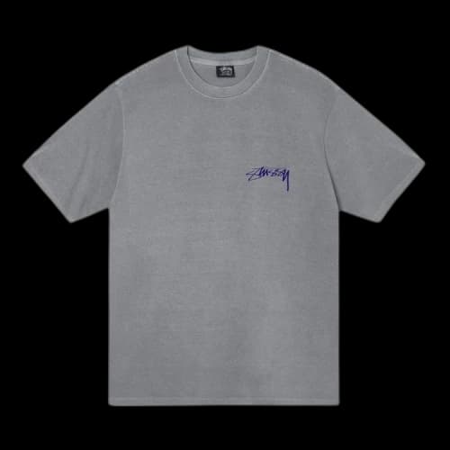 Stussy Arachnid Pigment Dyed Tee 'Grey'