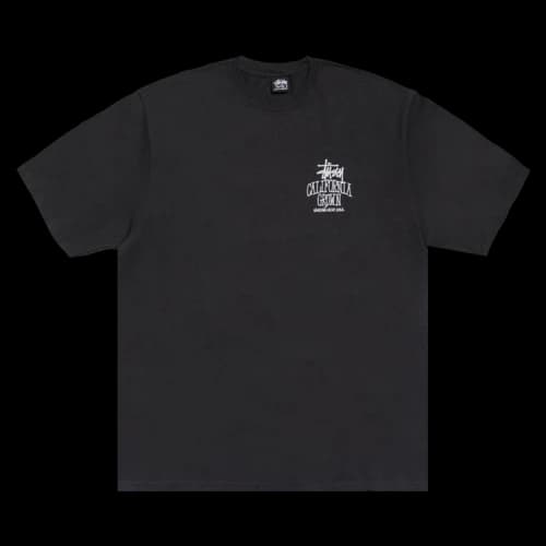 Stussy California Grown Tee 'Black'