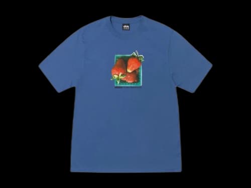 Stussy Berries Tee Blue
