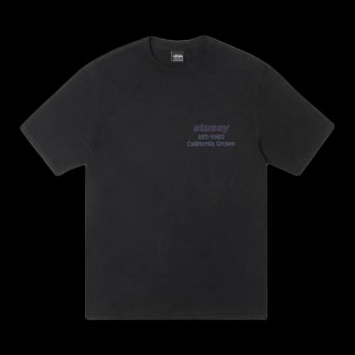 Stussy California Grown Tee Pigment Dyed 'Black'