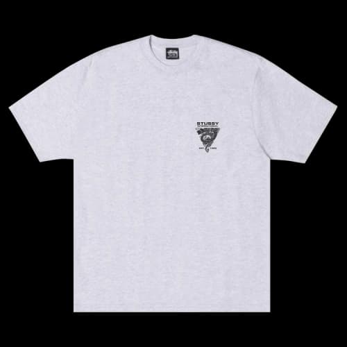 Stussy Dragon Tee 'Ash Heather'
