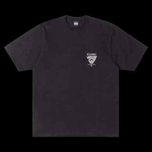 Stussy Dragon Tee 'Black'