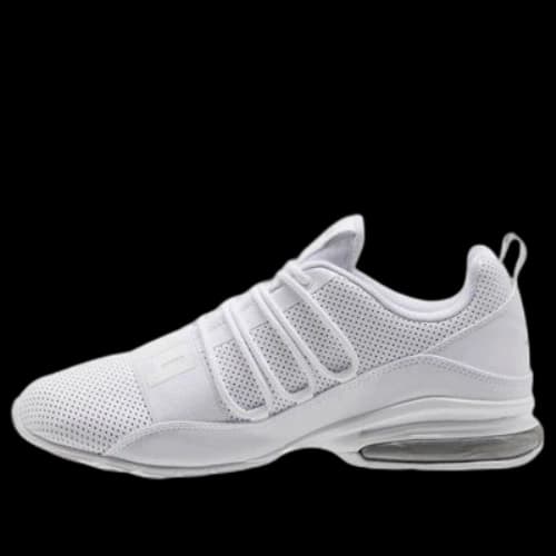 PUMA Cell Regulate White