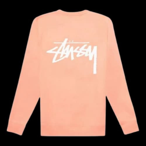 Stussy Back Large logo Round Neck