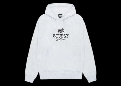 Stussy Sportswear Hoodie Pacific