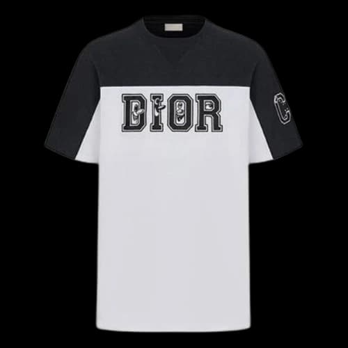 DIOR Logo Colorblock Round Neck Short Sleeve White T-Shirt