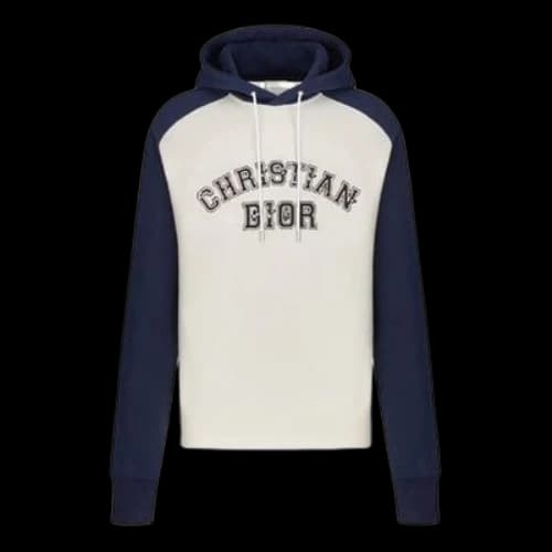 DIOR x PETER DOIG FW21 Logo Long-Sleeved Men's Grey