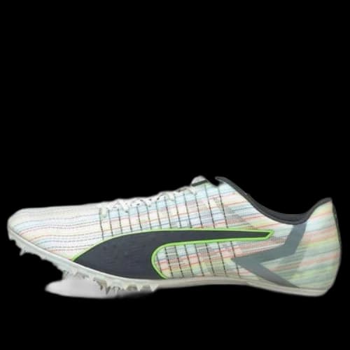 PUMA Evo Speed Tokyo Future 2 Spectra 'Black White Green'