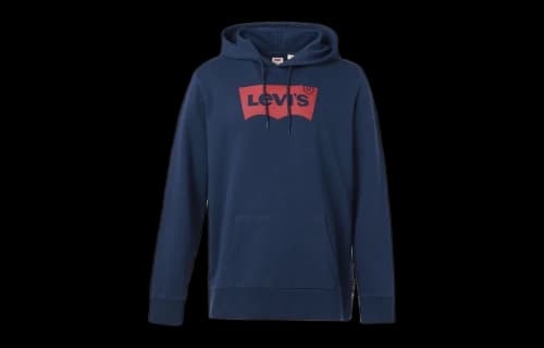 Levis Levi's Graphic Hoodie 'Blue'