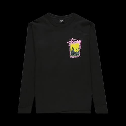 Stussy Palm Desert Pigment Dyed Long-Sleeve Tee 'Black'