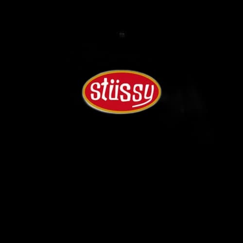 Stussy Pitstop LS Tee White