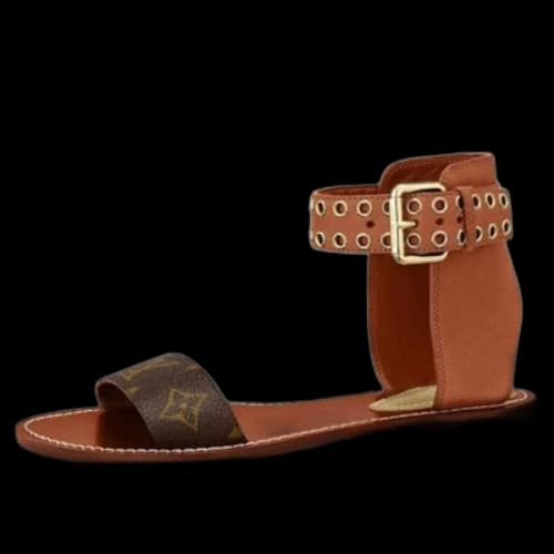 LOUIS VUITTON shoes Passenger flat sandals 'Brown' (Women's)
