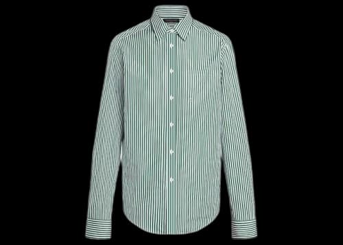 Louis Vuitton Striped Oversized Business Shirt Green